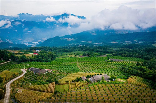 还记得小时候，听过那些奇奇怪怪的神话鬼故事吗？