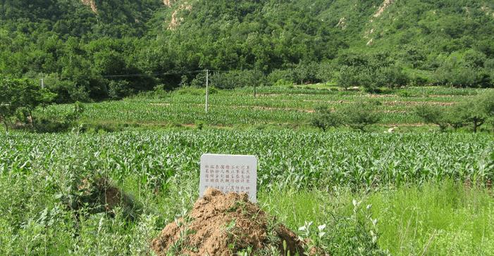 农村真实鬼故事