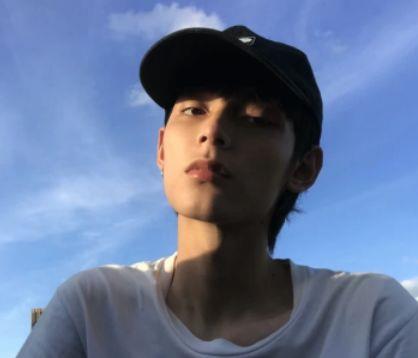 夏至节气经典句子