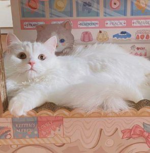 ​打动一个男人的心里话 让男朋友感动到哭的句子(77句)