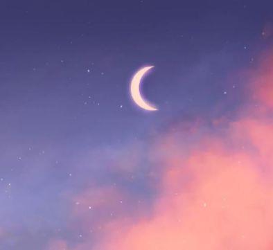 委婉表白的句子 爱情委婉表白的句子