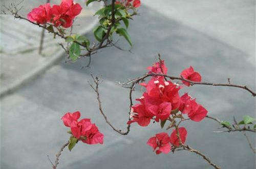 90后优美文艺的句子