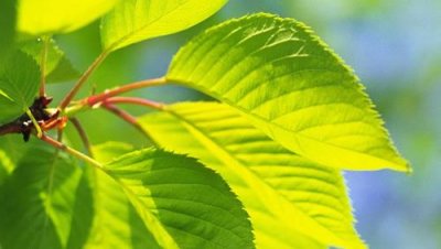 ​抖音单身网名大全220个