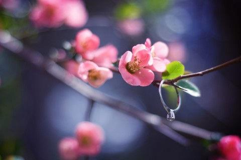 十二月份优美的句子（精选50句）