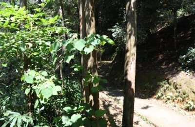 ​男孩乳名霸气一点的名字【简单】