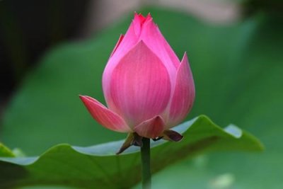 ​好听的两个字的昵称(共199个)