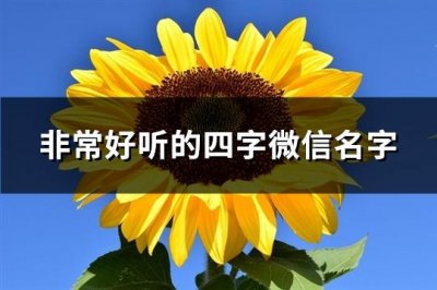 ​非常好听的四字微信名字(共1078个)