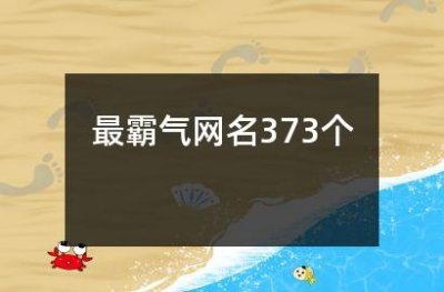 ​最霸气网名373个