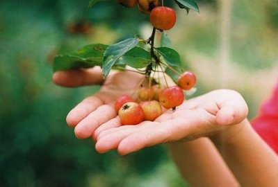 ​微信网名女生霸气高冷最新版358个