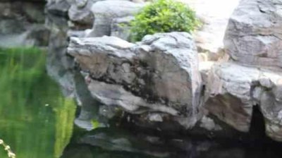 ​李姓女孩名字大全