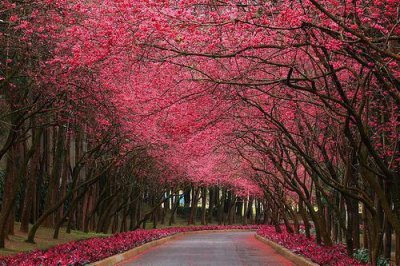 ​最能吸引女孩子的抖音名字(精选310个)