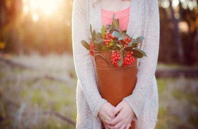 ​放弃感情的网名大全