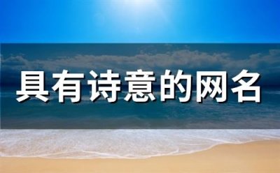 ​具有诗意的网名(精选301个)