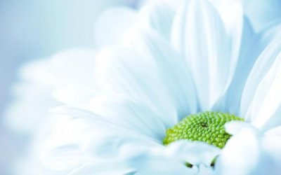 ​正能量的销售句子