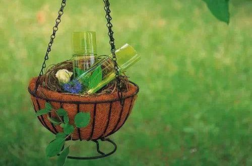 有关友情的哲理句子