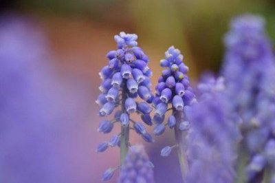 ​表达心情复杂的句子(36句)