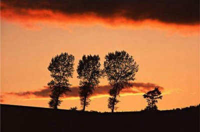 ​形容离婚悲伤的句子 离婚最伤感的句子(精选73句)