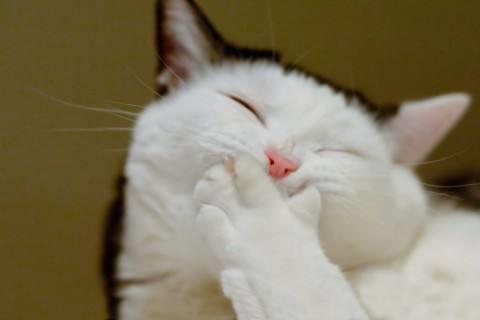 2025年通用有哲理的句子96条