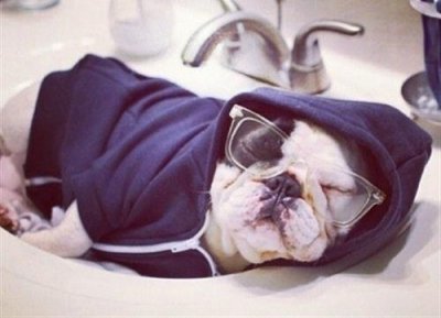 ​说说悲伤到心痛的句子