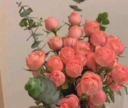 后悔伤心思念的句子