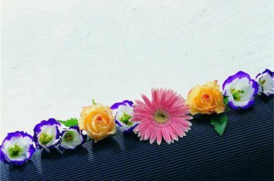 ​笑对人生的经典句子(精选71句)