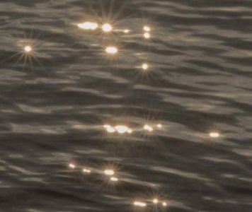 ​世界读书日的经典语句大全汇总67句