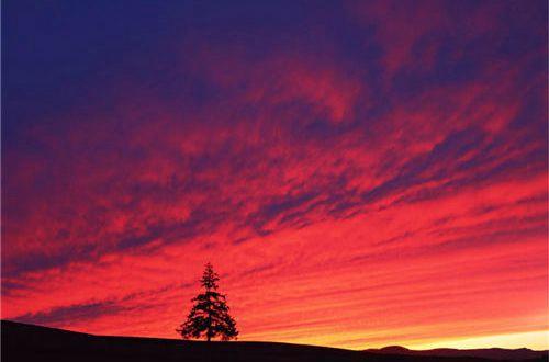 睡前语录经典句子 睡前经典语录