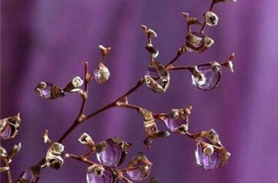 ​让妈妈开心的句子 写给妈妈的话唯美简短