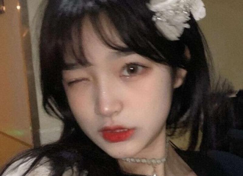 温情难染popo(感人故事：小狗popo的暖心旅程)