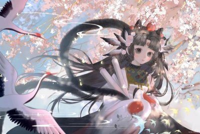 ​现场铁证一集一个故事吗