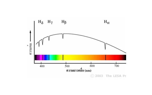 王迅的情感故事，从失恋到重获爱情的心路历程