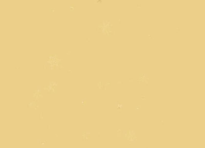 套路男朋友的小故事猪和老虎（短篇睡前故事）