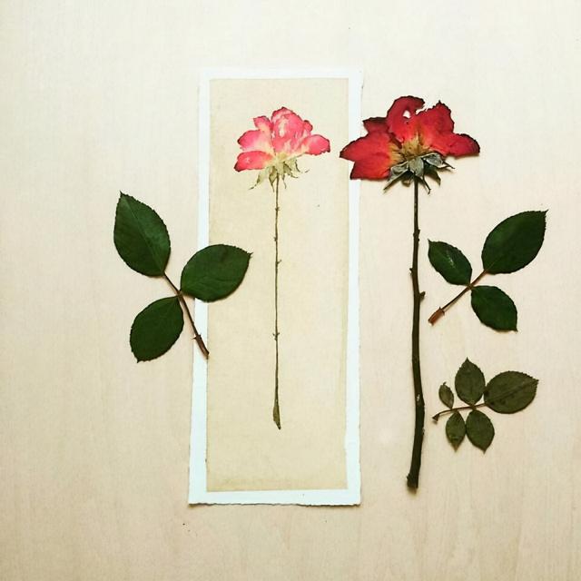 人生格局高度经典语录（2022大格局有涵养的名句）