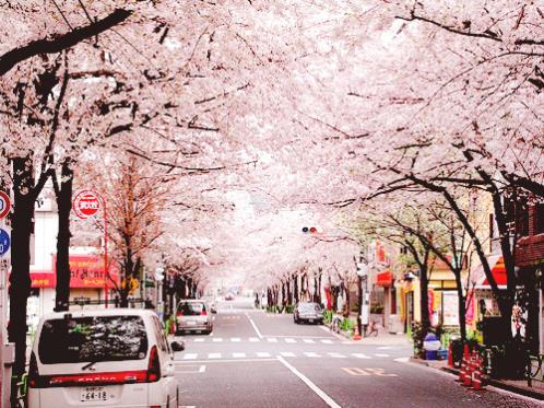 qq空间说说男生个性