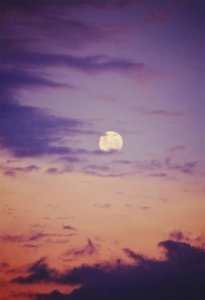 ​萨博说过的经典语录