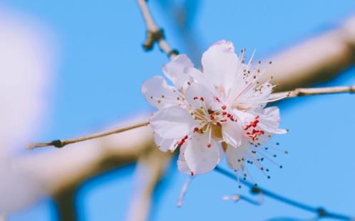 一句话打动人心爱情 爱情的句子唯美短句