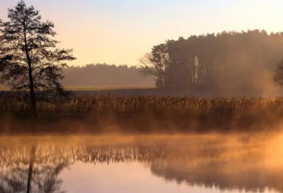 ​女生单纯的网名(精选163个)