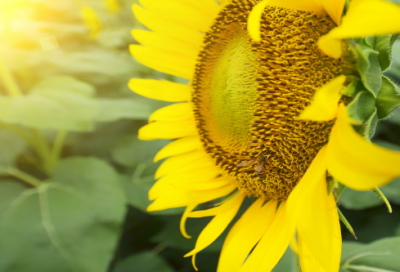 ​绝地求生的游戏名字大全(841个)