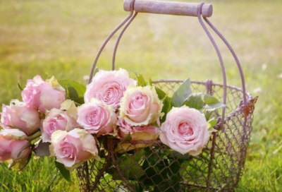 ​适合7080后的男性网名(精选161个)