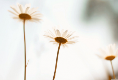 ​潇洒飘逸的网名(158个)