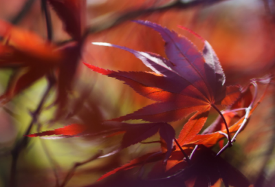 ​好听的男生游戏名字大全(共162个)