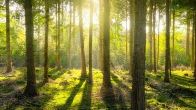 ​适合发空间的说说情话 发空间说说的句子