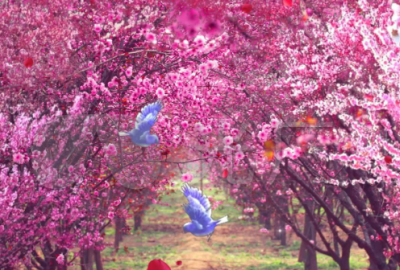 ​豁然开朗的人生哲理说说 让人豁然开朗的文案