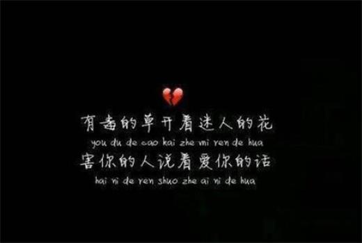 可怜那东宫太子妃原句