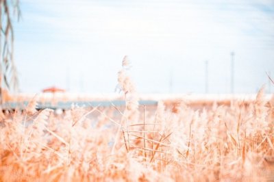 ​天冷的说说 今天好冷用一句话说说