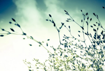 ​美食发朋友圈说说心情短语(54句)