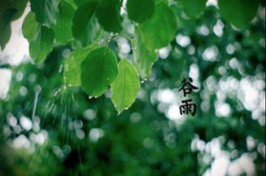 绝世唐门经典语录