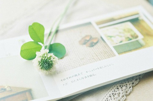 孩子品德教育的谚语74句