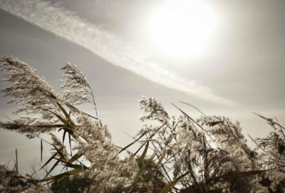 ​成功语录经典语录