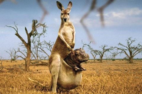 看清人心的经典句子